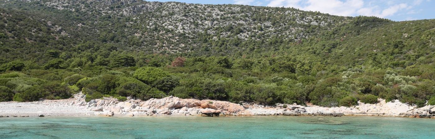 Günlük – Bodrum Özel Tekne Turu