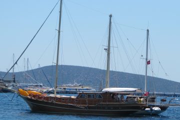 Yat Neptun