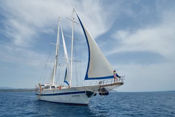 Caicco Fortuna
