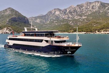 Barca a Motore Limitless