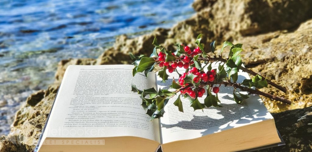 The joy of reading on warm rocks.