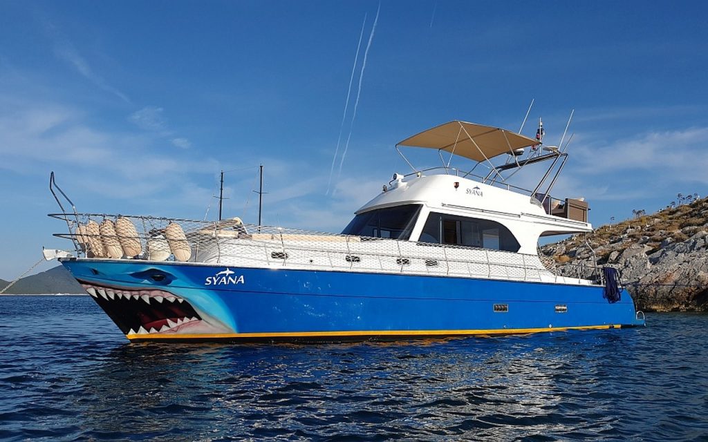Motoryacht Syana