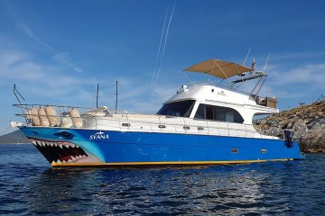 Bateau à Moteur Syana