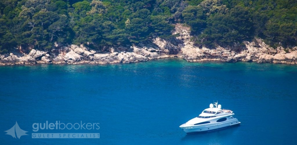 You might choose a sleek motor yacht for island-hopping adventures or a traditional gulet for cultural coastal experiences.