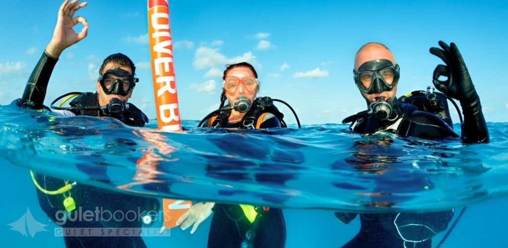 Your private yacht becomes both sanctuary and launch pad, equipped with diving platforms, gear storage, and the flexibility to chase perfect diving conditions as weather and currents dictate.
