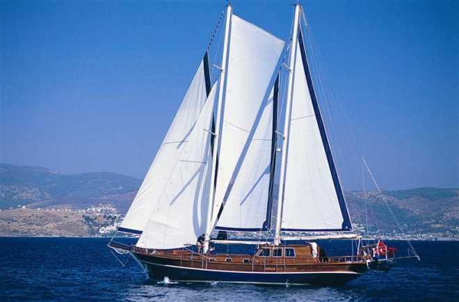 Goélettes à Voile Spécialiste